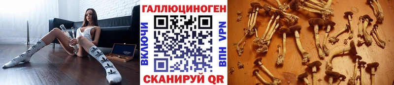 mega ссылки  цены   Тайшет  Псилоцибиновые грибы GOLDEN TEACHER 